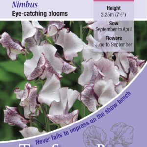 Kings Seeds Sweet Pea Nimbus 20 Seed
