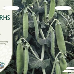 Mr Fothergills - RHS - Vegetable - Pea - Spring - 300 Seeds