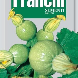 Franchi Seeds of Italy Courgette Tondo Chiaro Di Nizza Seeds