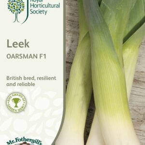 Mr Fothergills RHS Leek Oarsman F1 50 Seeds