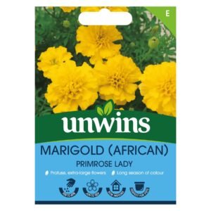 Unwins Flower African Marigold  Primrose Lady Seed