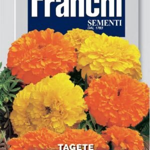 Franchi Seeds of Italy - Flower - FDBF_ 353-2 - Marigold - Tagete Gigantic A Fiore Pieno - Seeds