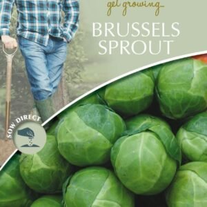 Mr Fothergills - David Domoney - Vegetable - Brussels Sprout - Brest F1 - 40 Seeds