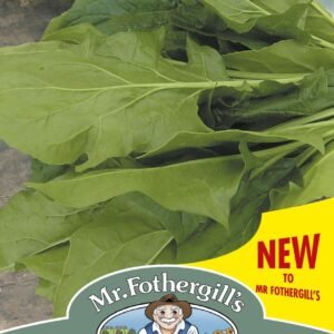 Mr Fothergills Spinach Mikado F1 - 500 Seeds