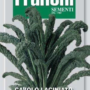 Franchi Seeds of Italy Kale Nero Di Toscana Seeds