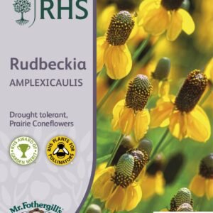 Mr Fothergills - RHS - Flower - Rudbeckia - Amplexicaulis - 200 Seeds