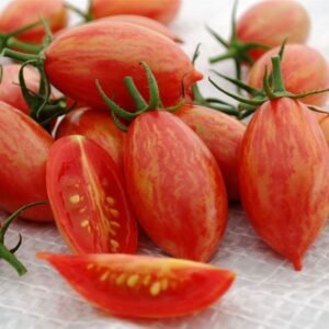 Tomato Artisan Pink Tiger Seeds