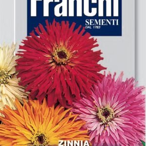 Franchi Seeds of Italy - Flower - FDBF_ 358-2 - Zinnia - Cactus - Seeds