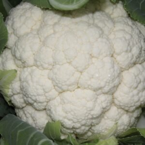 Cauliflower Skywalker F1 Hybrid Seeds