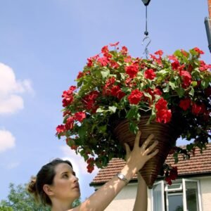 Darlac DA020 Hi-Lo For Hanging Baskets UK SHIPPING ONLY