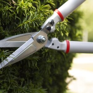 Darlac DP1426 Expert Bonsai & Topiary Shear UK SHIPPING ONLY