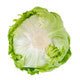 Lettuce Iceburg Evionas RZ Seeds