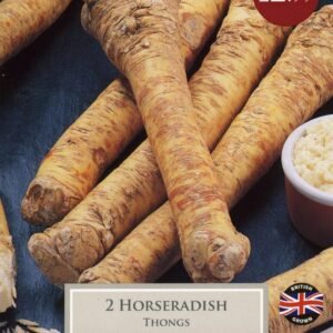 Taylors - Horseradish - 2 Roots