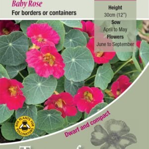 Kings Seeds  Nasturtium Baby Rose Seeds
