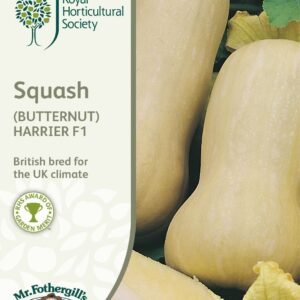 Mr Fothergills RHS Squash (Butternut) Harrier F1 10 Seeds
