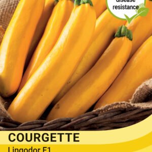 Thompson & Morgan  Vegetable Courgette Lingodor F1 - 4 Seeds