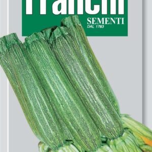 Franchi Seeds of Italy Courgette Romanesco Seeds