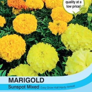 Thompson & Morgan Marigold Sunspot Mixed 100 Seed
