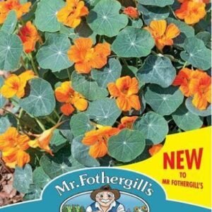 Mr Fothergills - Flower - Nasturtium Baby Orange - 25 Seeds