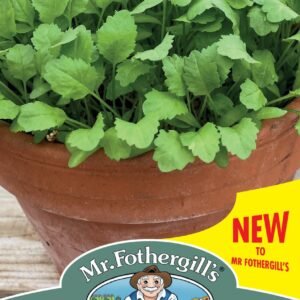 Mr Fothergills - Vegetable - Cress - Pepper - 150 Seeds