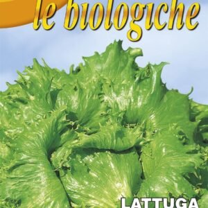 Franchi Organic BIOB86/8 Lettuce Regina Ghiacci 4000 Seeds
