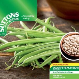 Sutton Seeds - Bean (Dried Dwarf) Seeds - Cannellino