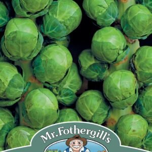 Mr Fothergills - Vegetable - Brussels Sprout - Brodie F1 - 40 Seeds