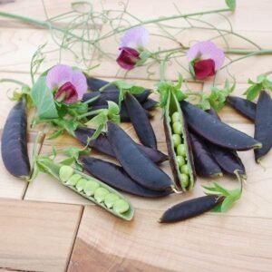 Sugar Snap Pea Purple Magnolia  Seeds