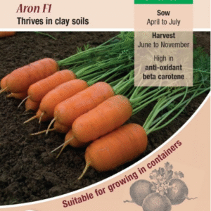 Kings Seeds Carrot Aron F1 - 400 Seeds