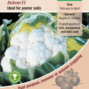 Kings Seeds Cauliflower Aviron F1 - 35 Seeds