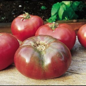 Tomato Cherokee Purple Seeds