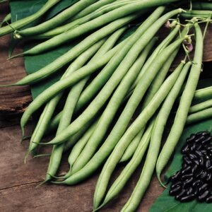 Climbing French Bean Cobra Seeds