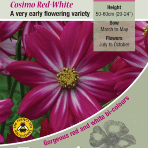 Kings Seeds Cosmos Cosimo Red White 50 Seed