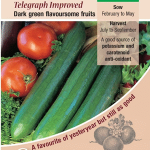 Kings Seeds Cucumber Telegraph Improved 15 Seeds