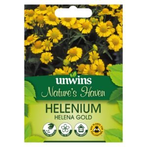 Unwins Flower Helenium Helena Gold - 75 Seeds