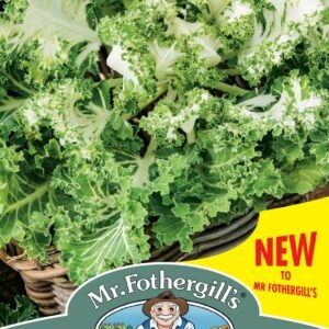 Mr Fothergills - Vegetable - Kale - Emerald Ice - 30 Seeds