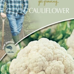 Mr Fothergills - David Domoney - Vegetable - Cauliflower - All Year Round - 200 Seeds
