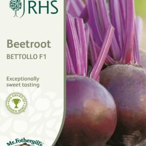 Mr Fothergills - RHS - Vegetable - Beetroot - Bettollo F1 - 150 Seeds