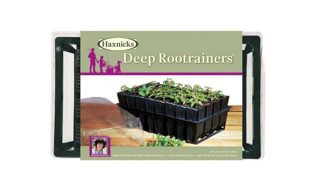 deeproots_comp_35fdb31a-57de-45a3-a52f-8cc88cf34dd8.jpg