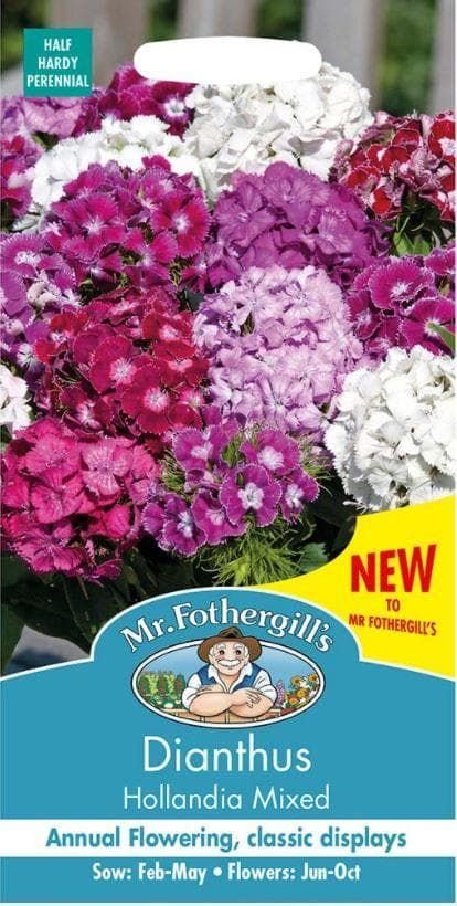 diahollandia_comp_5052d2cb-3e32-4844-bfb9-1031f2a404db.jpg