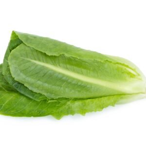 Lettuce Winter Density Seeds