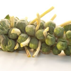 Organic Brussels Sprout Groninger Seeds