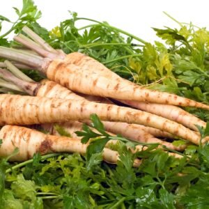 Parsley Hamburg Turnip Rooted Seeds