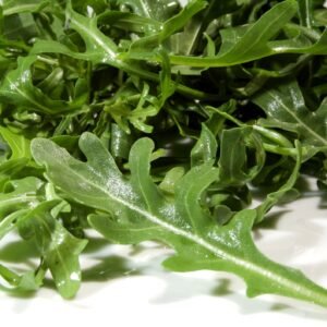 Rocket Voyager Seeds