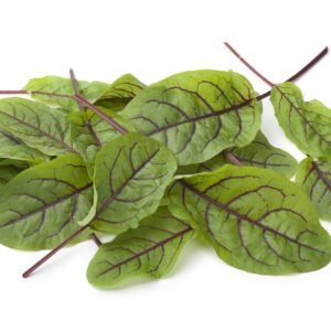 Microgreens Baby Leaves Sorrel Red Veined Seeds