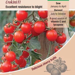 Kings Seeds Tomato Crokini F1 Hybrid Seed