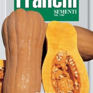 Franchi Seeds of Italy Pumpkin Butternut Rugosa Seeds