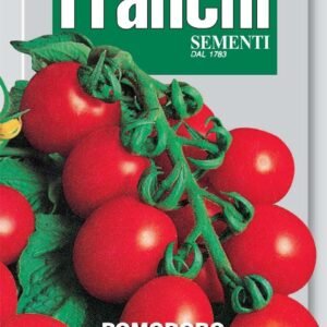 Franchi Seeds of Italy Tomato Principe Borghese Seeds