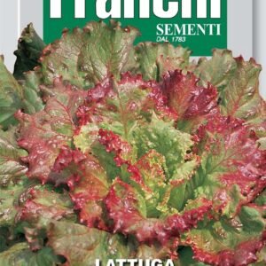 Franchi Seeds of Italy Lettuce Biscia Rossa Seeds