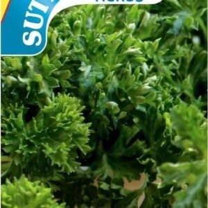 Sutton Seeds - Parsley Seeds - Grune Perle